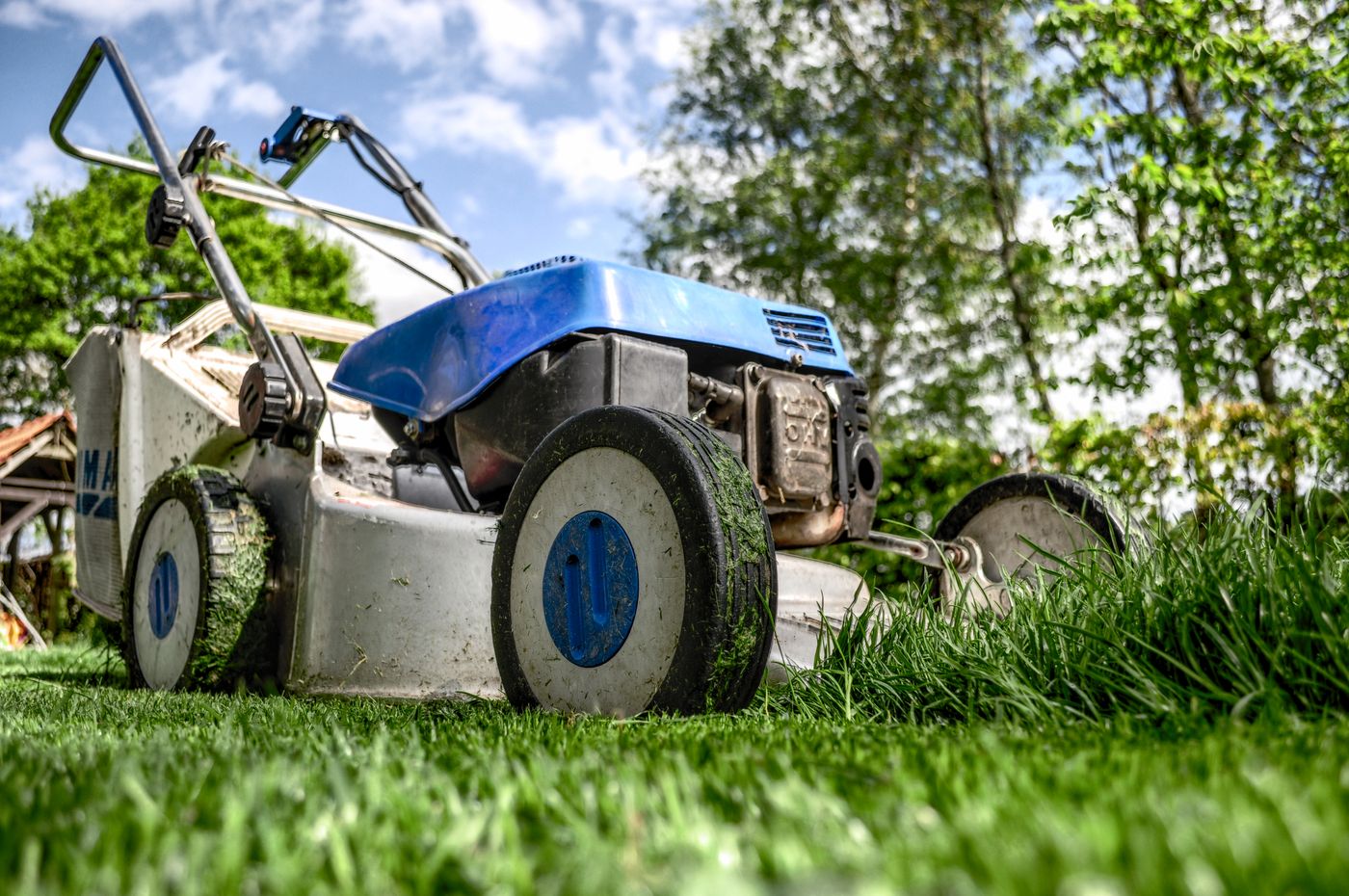 A lawn mower cutting long grass